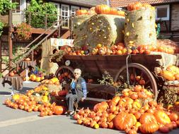 Thanksgiving Autumn Pumpkin