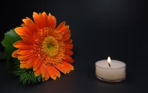 Romantic Candle and Flower