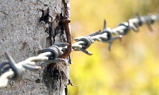 Barbed Wire Pasture Fence Barrier