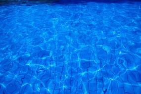 Swimming Pool Water Summer