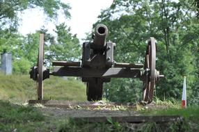 Cannon Artillery Weapon