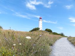 Hiddensee Lighthouse Summer Baltic sea