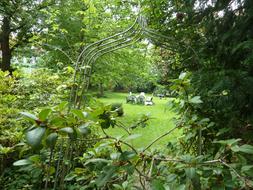 Garden In The Green Meadow