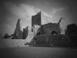 Ruin Abbey Ireland