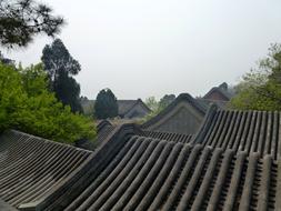 China The Roof Of