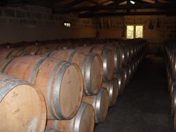 Wine Cellar Barrels Cask