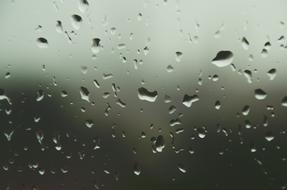 Rain Autumn Glass Still
