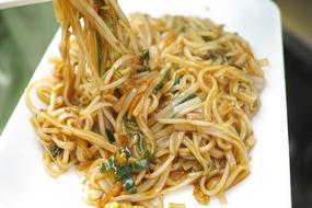 Noodle Thailand Thai Pot
