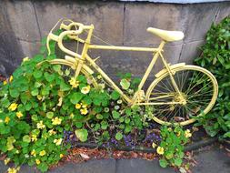 Bicycle Yellow Old