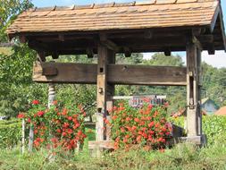 Wine Press Wood Most