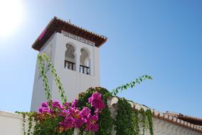 Granada Albaicin house and flowers