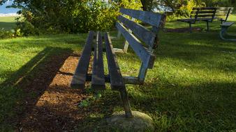 Bench Sunlight Grass