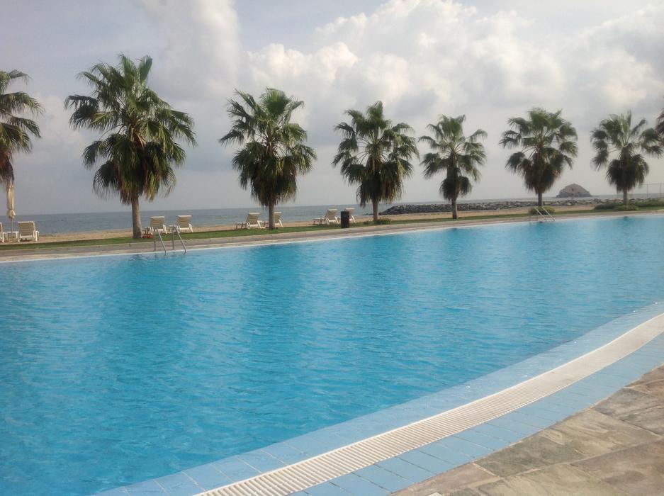 Pool Swimming Water