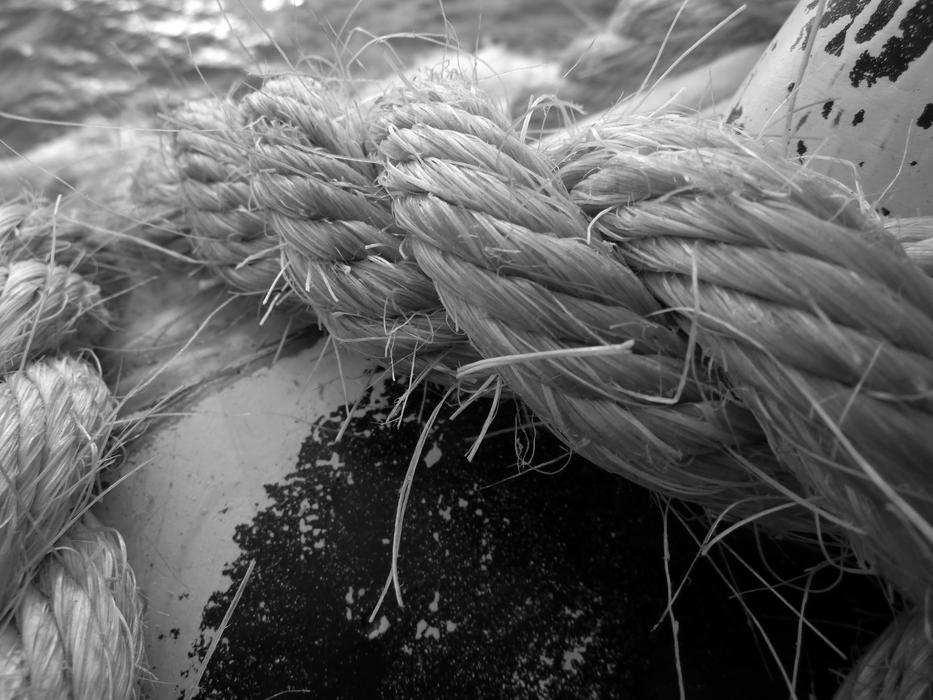 Rope Leash Dew Close