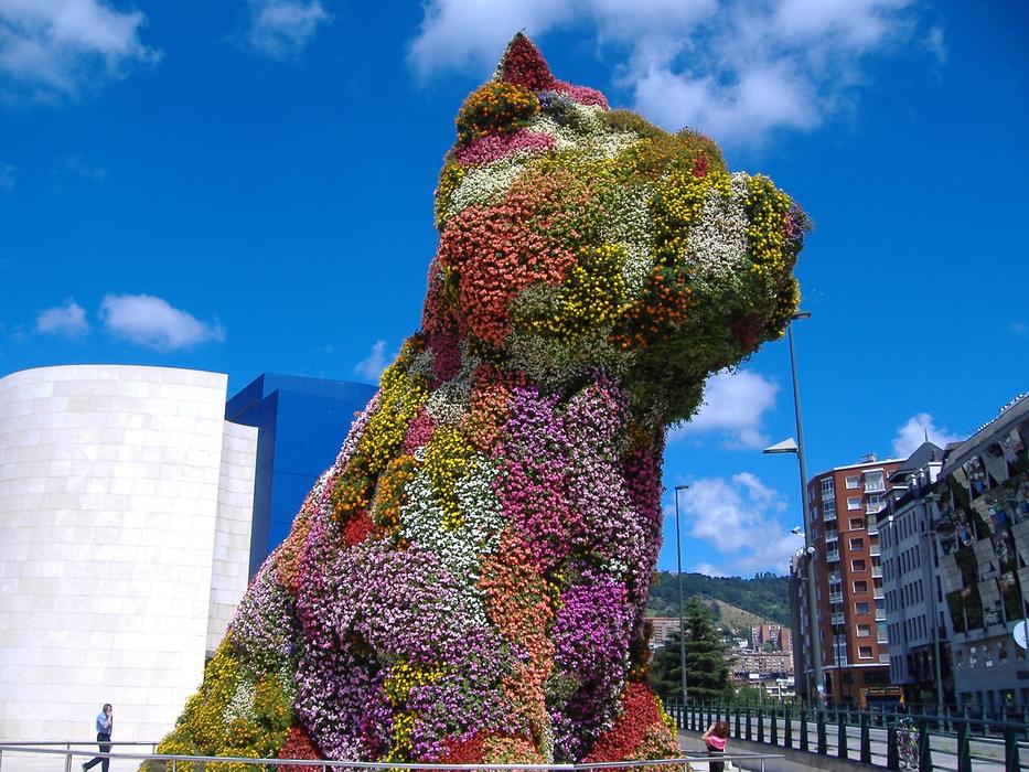 Puppy Flowers Bilbao