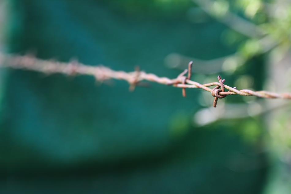 Wire Spur Fence Barbed