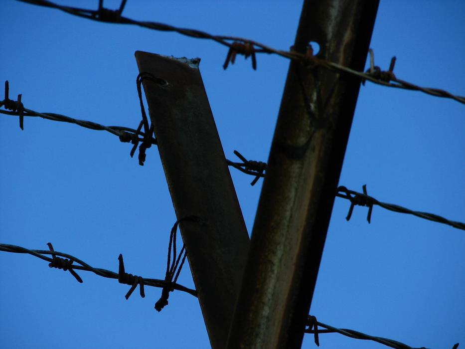 Wire Barbed Fence