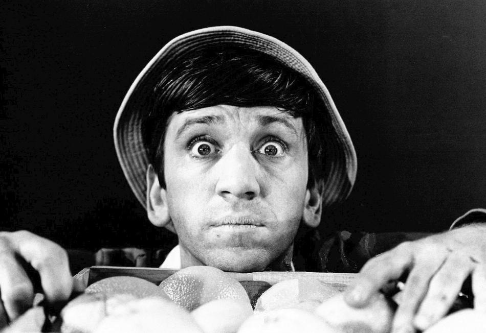 Bob Denver Actor Comedy
