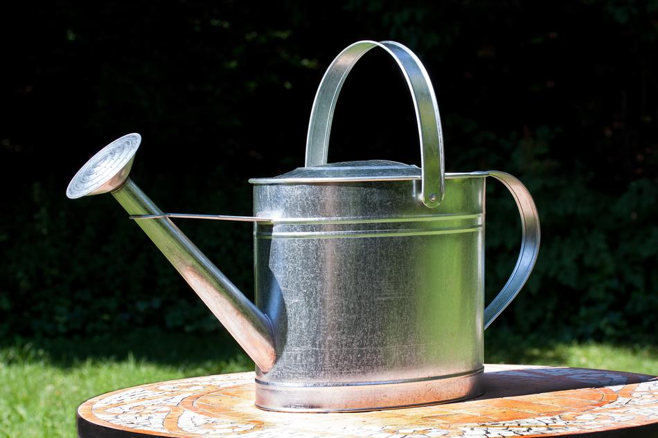 Watering Can Sprinkler Vessel