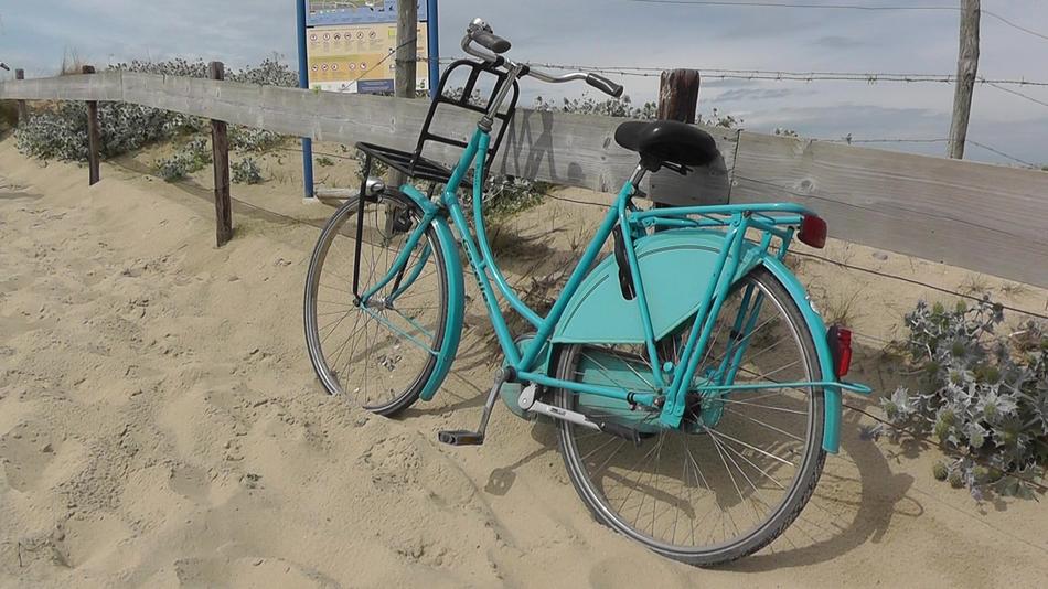 Bike Turquoise Wheel