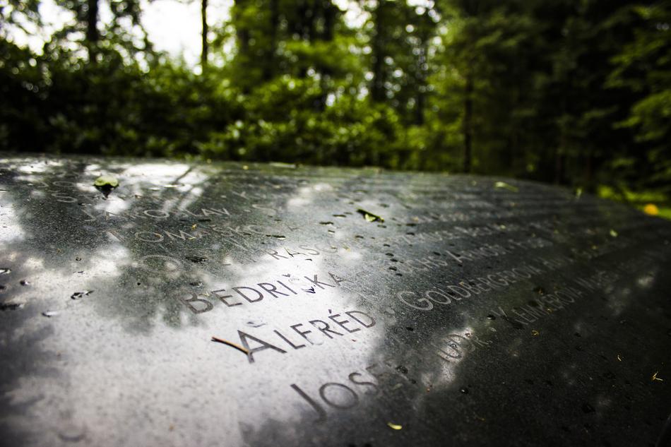 Memorial Stone Roinov
