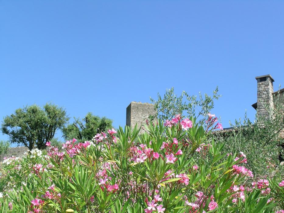 Tuscany Monteriggioni