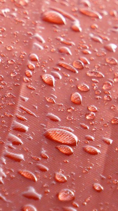 Rain Raindrop Umbrella