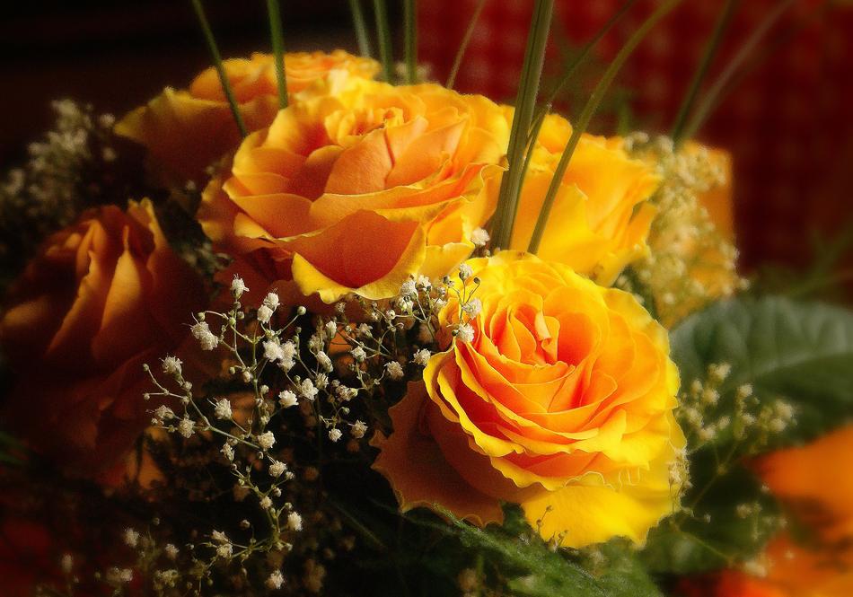 Roses Bouquet Flowers Of