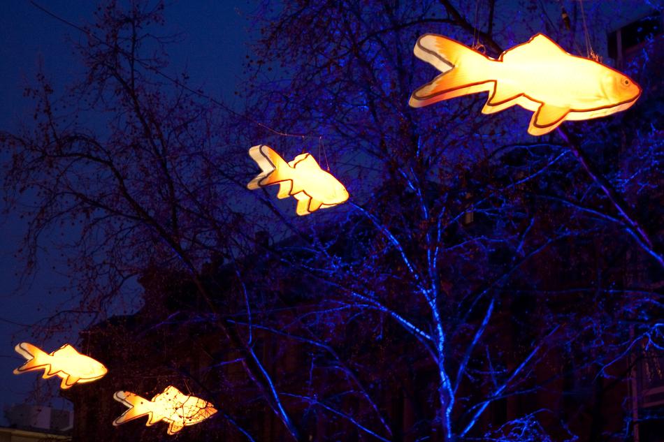 Lamps Lighting Fish