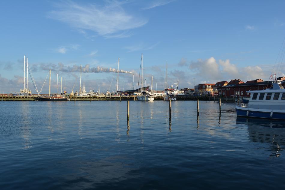 Port of Tiburon