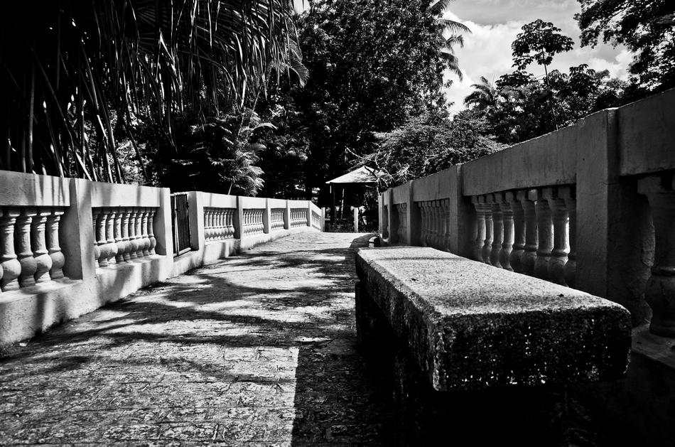 Black And White picture of Bank on path