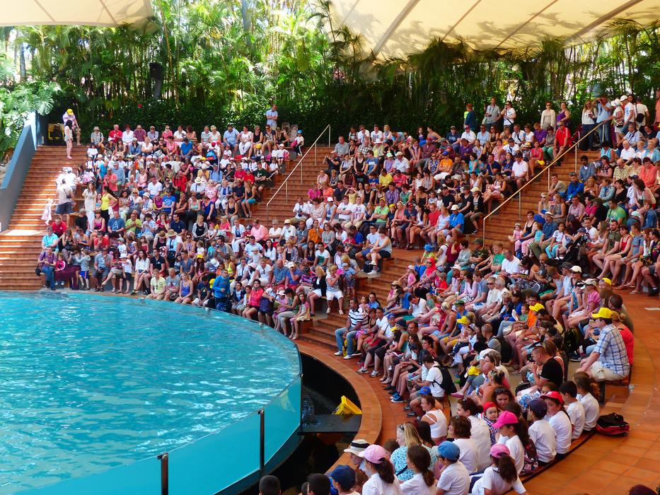 Viewers Auditorium Show