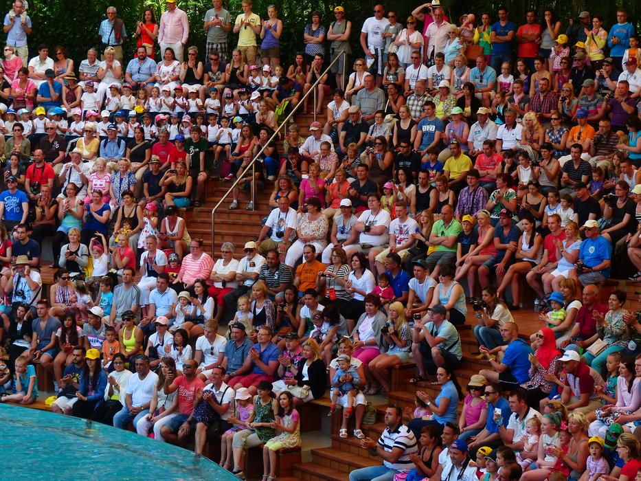 Viewers Auditorium Show