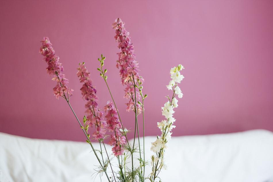 Flowers Pink Bouquet