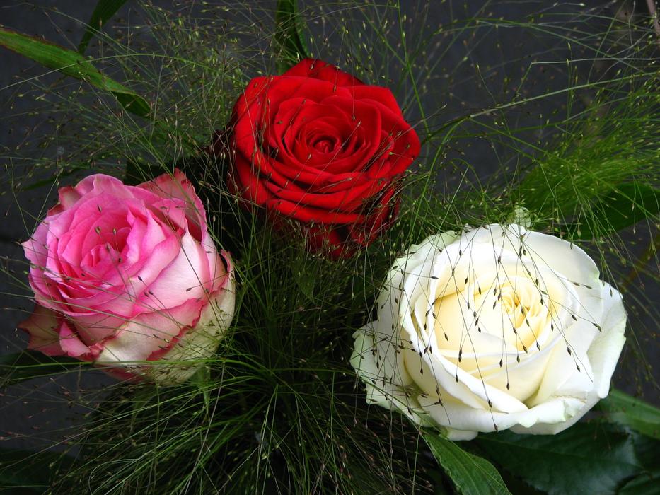 Roses Bouquet Red
