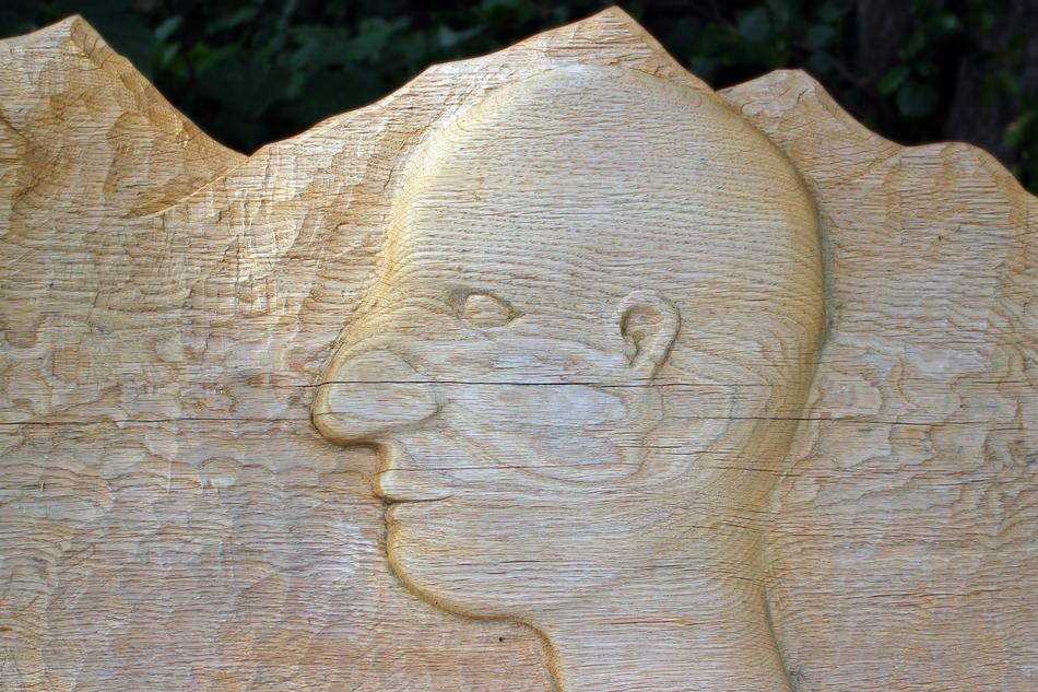 Head Face Wood macro