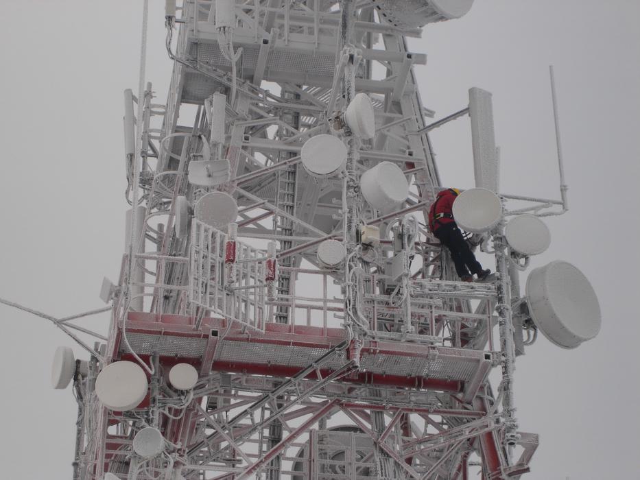 The Mast Winter
