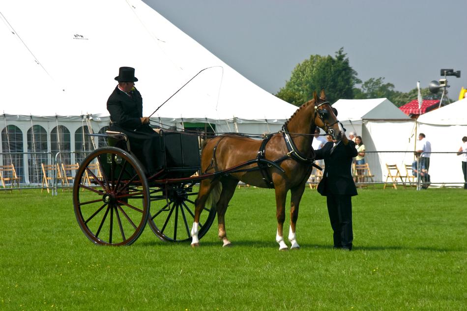 Horse Driver Top Hat