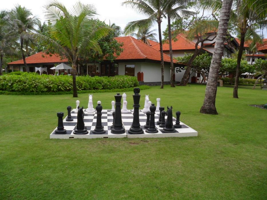 Chess Garden