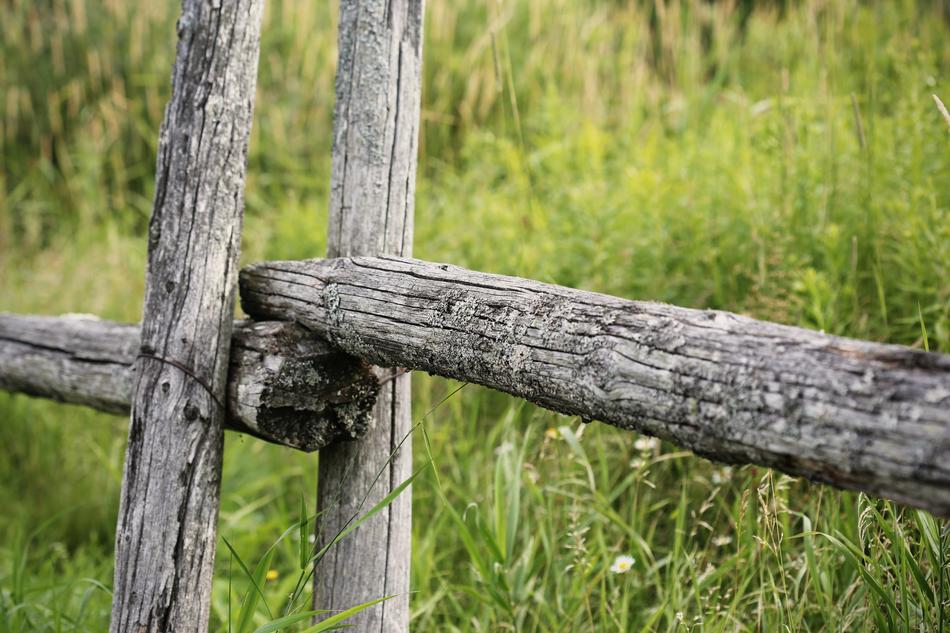 Fence Wooden Rural