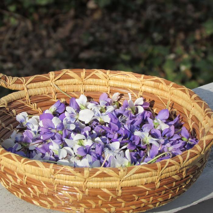 Petals Basket Violet and white