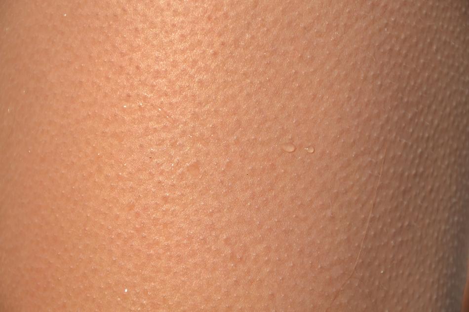 Skin Shell GÄsia