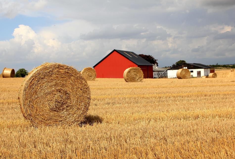 Straw Go Field