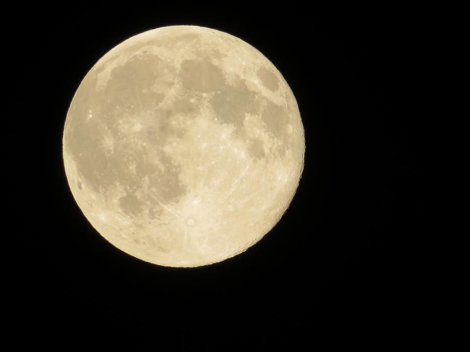 Moon In The Evening Moonlight