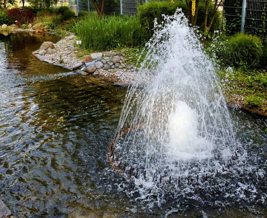 Water Pond in China Garden