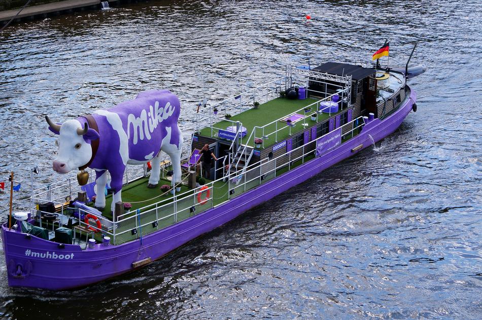 Milkakuh cow statue on Purple Boat