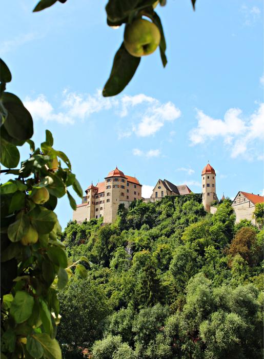 Castle Middle Ages Places Of