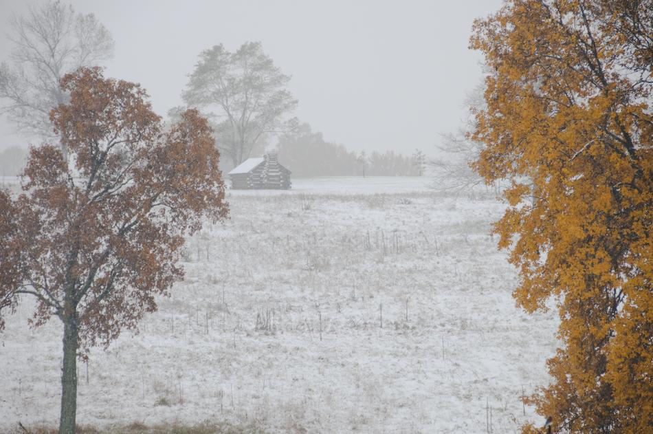 Winter Valley Forge National park