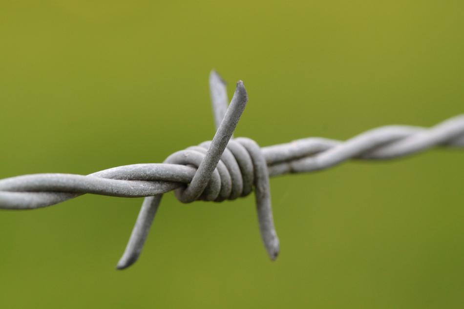 Barbed Wire Pointed