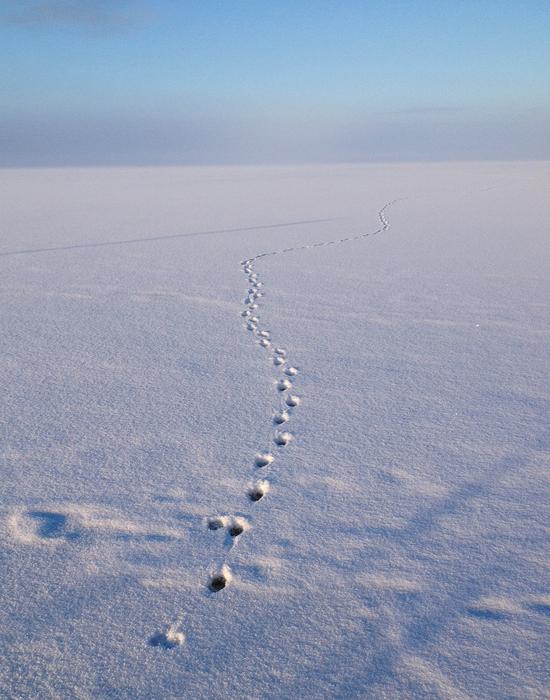 Winter Cooling Track